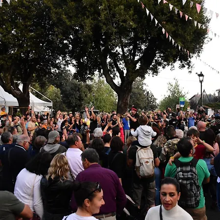 Apartament Il Pianerottolo Manziana